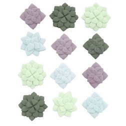 Succulents Royal Icing Decorations