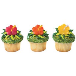 Hibiscus Flowers Cupcake Toppers