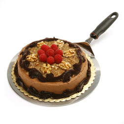 Cake/Pizza Lifter with Handle