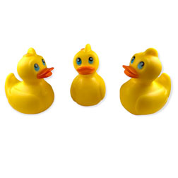 Rubber Duckies