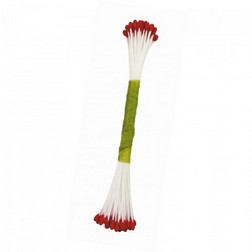 Red Stamens - Medium