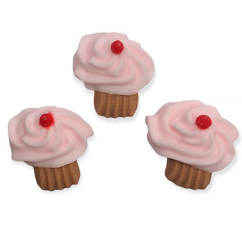 Cupcake Themed Baking and Decorating Supplies