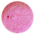 Luster Dust-Orchid Pink