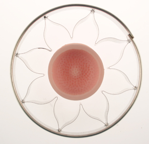 Sunflower and Cutter Silicone Mold