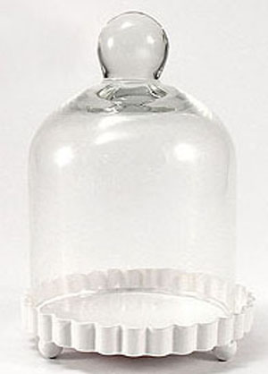 Miniature Glass Bell Jar