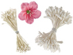 Flower Stamen Assortment