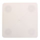 Square Separator Plate- Bakery Craft- 6"