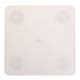 Square Separator Plate- Bakery Craft- 8"