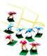 Football Picks and Novelties