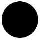 Petal Dust-Charcoal Black