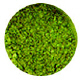 Luster Dust-Olive Green