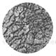 Luster Dust-Silver (Moonstone)