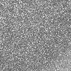 American Silver Disco Dust