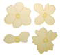 JEM Cutter Anemone Set