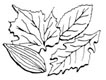 Gumpaste Leaf Veiner Set (A)