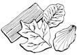 Gumpaste Leaf Veiner Set (B)