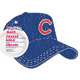 Plastic Pan - Chicago Cubs