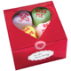 Treat Box - Metallic Valentine