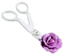Flower Lifter