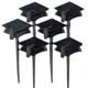 Graduation Picks and Novelties