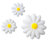 Dec-Ons® Molded Sugar - Daisy
