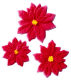 Dec-Ons® Molded Sugar - Poinsettia Assortment