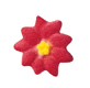 Dec-Ons® Molded Sugar - Poinsettia