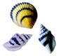 Dec-Ons® Molded Sugar - Seashells