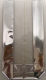 Cellophane Cello Bag Silver Foil Strip Sides