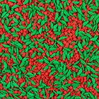 Holly & Berries Edible Confetti Sprinkles