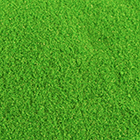 Extra Fine Edible Glitter Dust-Green