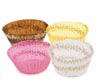 Candy Cup- Assorted Spiral