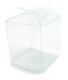 One Piece Folding Candy or Caramel Apple Clear Box