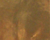 3 x 4" Foil Wrapper Gold