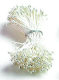 Stamens, Wire, Tape and Other Floral Parts