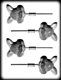 Hard Candy/Cookie Mold-Bunny Head Sucker