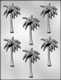 Palm Tree Chocolate Candy Mold
