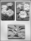 Cake Lady Plaques #3 Chocolate Candy Mold
