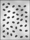 Coffee Bean Chocolate Candy Mold