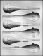Ice Cream Cone Sucker Chocolate Candy Mold