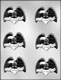 Eagle with Banner Chocolate Candy Mold
