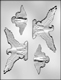 Eagle Assortment Chocolate Candy Mold