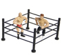 Wrestlers with Ring