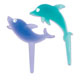 Picks- Dolphins