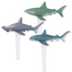 Picks- Sharks