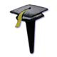 Graduation Hat/Gold Tassel