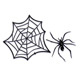 Pick- Spider and Web Set