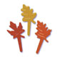 Leaves Picks