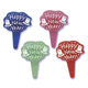 "Happy New Year!" Picks