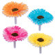 Picks - Silk Daisy